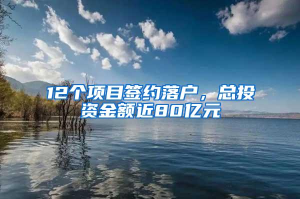 12个项目签约落户，总投资金额近80亿元