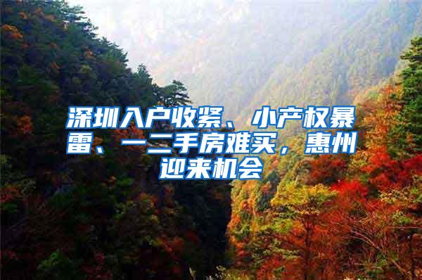 深圳入户收紧、小产权暴雷、一二手房难买，惠州迎来机会