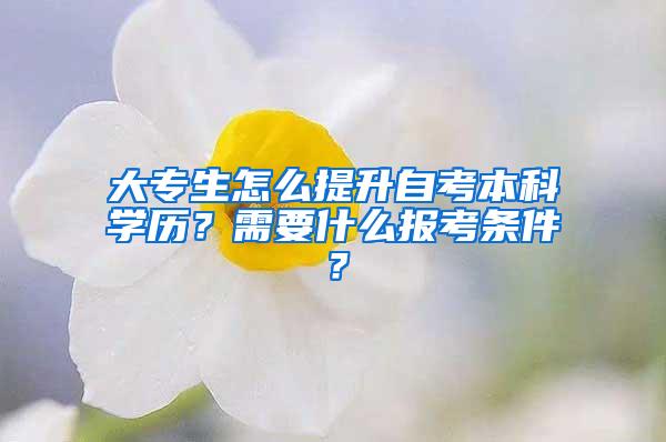 大专生怎么提升自考本科学历？需要什么报考条件？