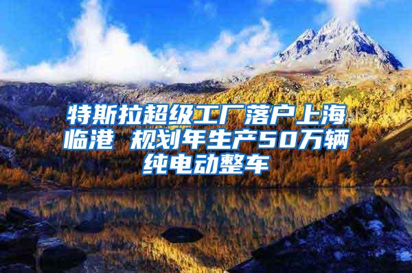 特斯拉超级工厂落户上海临港 规划年生产50万辆纯电动整车