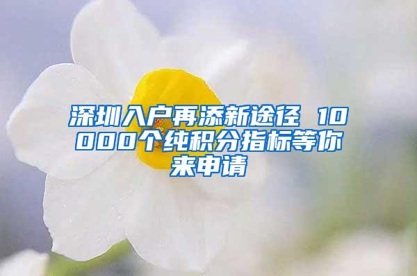 深圳入户再添新途径 10000个纯积分指标等你来申请