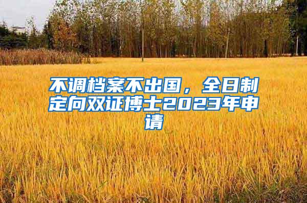 不调档案不出国，全日制定向双证博士2023年申请