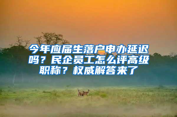 今年应届生落户申办延迟吗？民企员工怎么评高级职称？权威解答来了