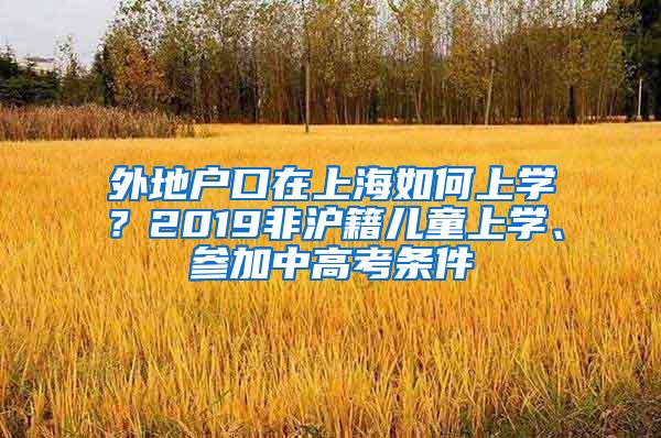 外地户口在上海如何上学？2019非沪籍儿童上学、参加中高考条件