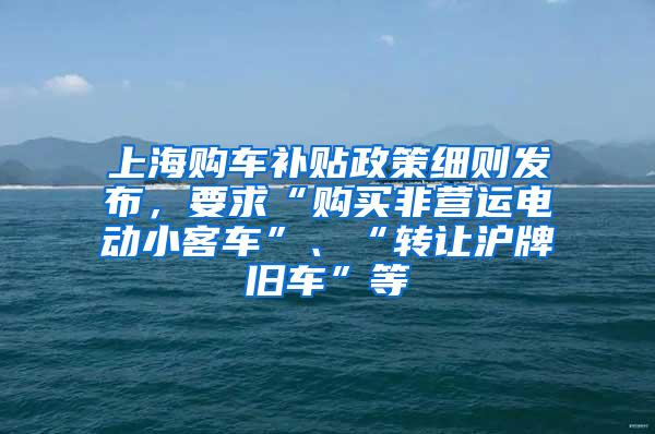 上海购车补贴政策细则发布，要求“购买非营运电动小客车”、“转让沪牌旧车”等