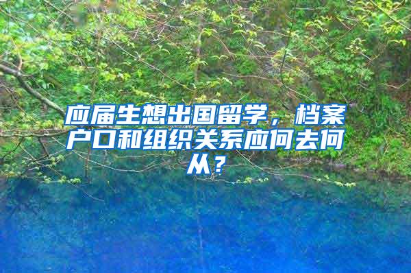 应届生想出国留学，档案户口和组织关系应何去何从？