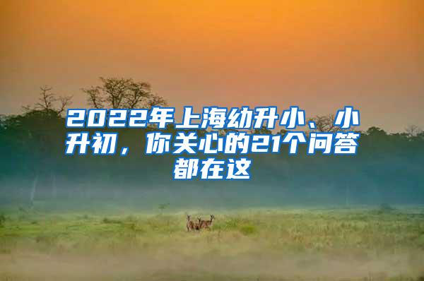 2022年上海幼升小、小升初，你关心的21个问答都在这