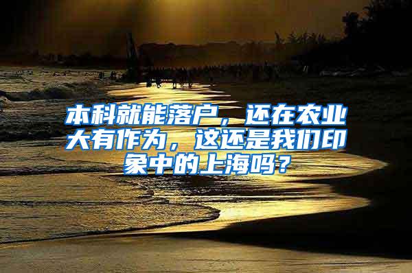 本科就能落户，还在农业大有作为，这还是我们印象中的上海吗？