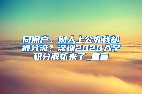 同深户，别人上公办我却被分流？深圳2020入学积分解析来了_重复