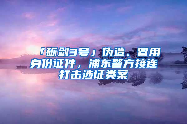 「砺剑3号」伪造、冒用身份证件，浦东警方接连打击涉证类案