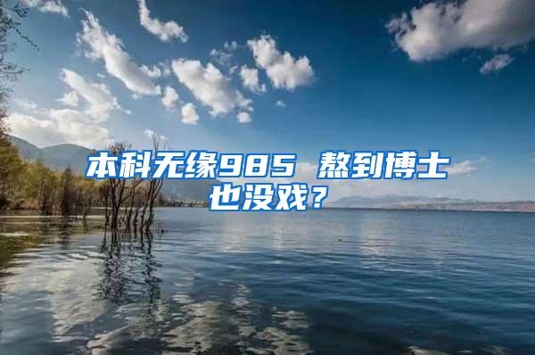 本科无缘985 熬到博士也没戏？