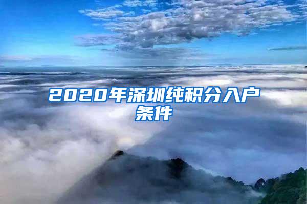 2020年深圳纯积分入户条件