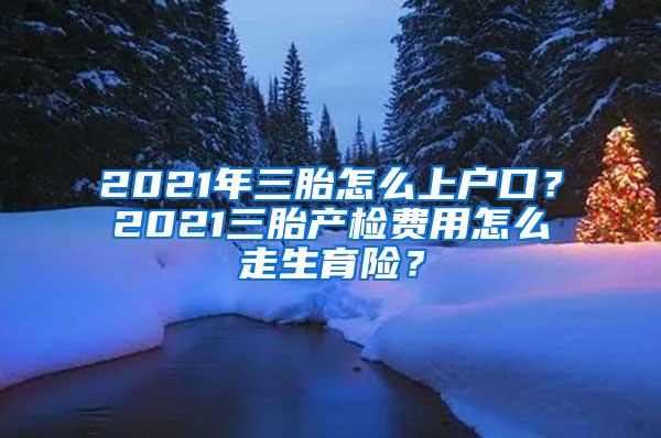 2021年三胎怎么上户口？2021三胎产检费用怎么走生育险？