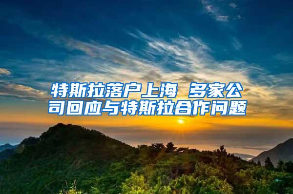 特斯拉落户上海 多家公司回应与特斯拉合作问题