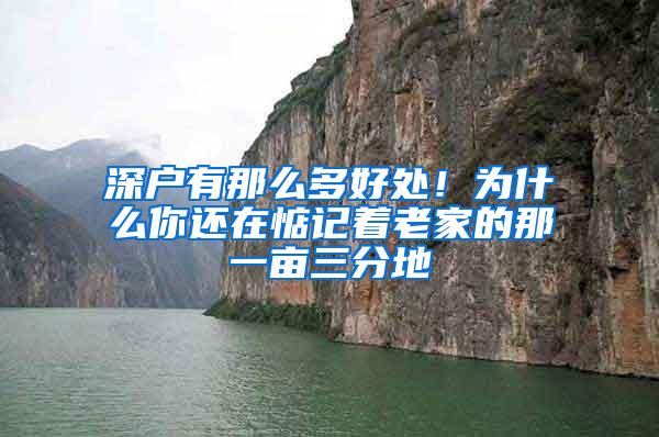 深户有那么多好处！为什么你还在惦记着老家的那一亩三分地