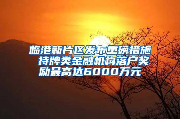 临港新片区发布重磅措施 持牌类金融机构落户奖励最高达6000万元