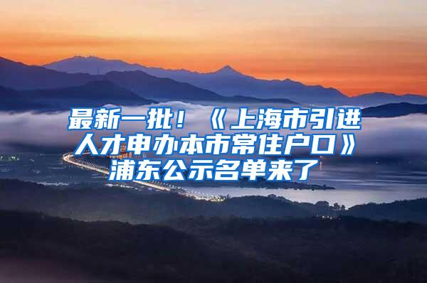 最新一批！《上海市引进人才申办本市常住户口》浦东公示名单来了