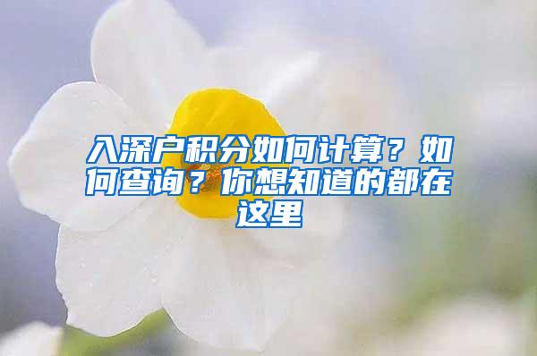 入深户积分如何计算？如何查询？你想知道的都在这里