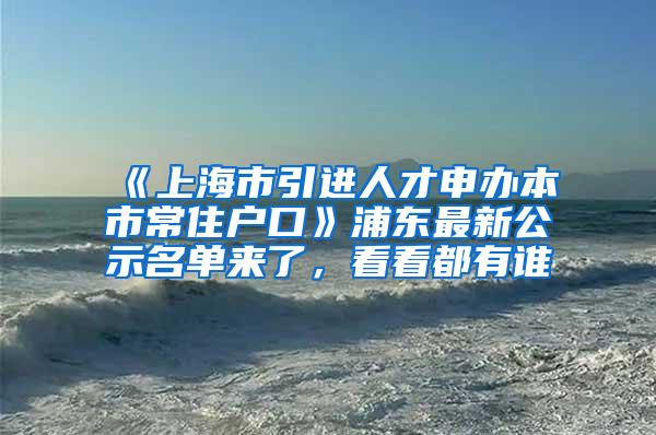 《上海市引进人才申办本市常住户口》浦东最新公示名单来了，看看都有谁