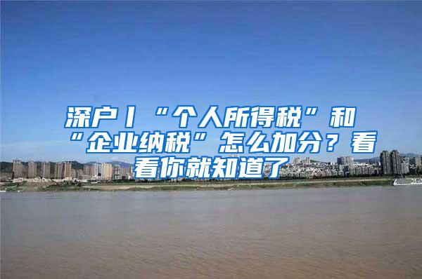 深户丨“个人所得税”和“企业纳税”怎么加分？看看你就知道了