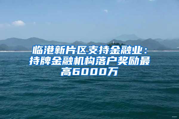 临港新片区支持金融业：持牌金融机构落户奖励最高6000万