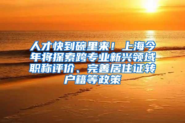 人才快到碗里来！上海今年将探索跨专业新兴领域职称评价、完善居住证转户籍等政策