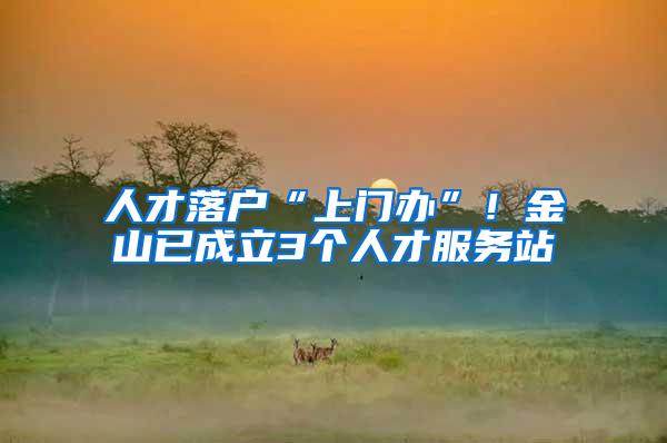 人才落户“上门办”！金山已成立3个人才服务站