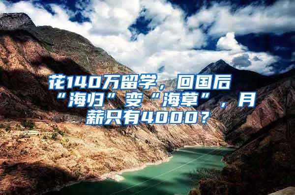 花140万留学，回国后“海归”变“海草”，月薪只有4000？