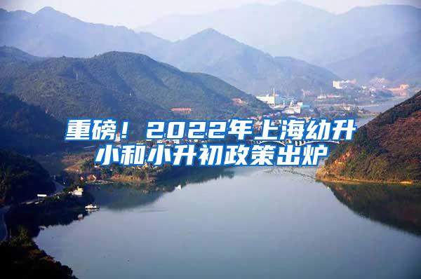 重磅！2022年上海幼升小和小升初政策出炉