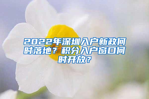 2022年深圳入户新政何时落地？积分入户窗口何时开放？