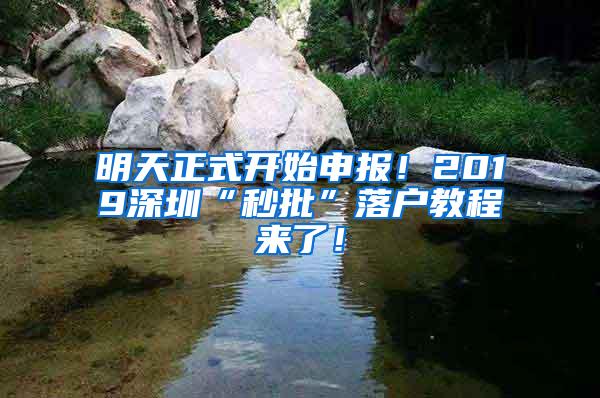 明天正式开始申报！2019深圳“秒批”落户教程来了！