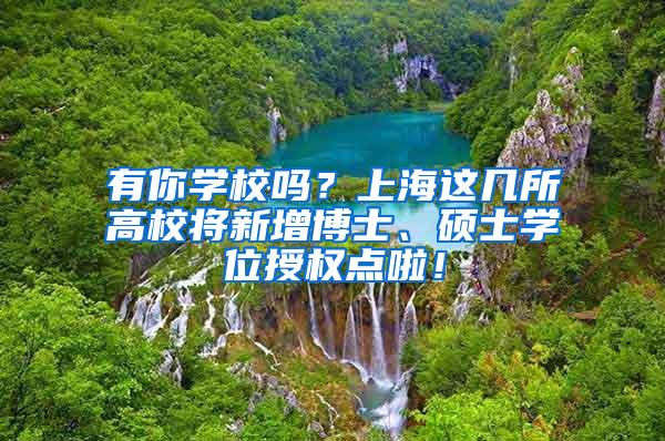 有你学校吗？上海这几所高校将新增博士、硕士学位授权点啦！