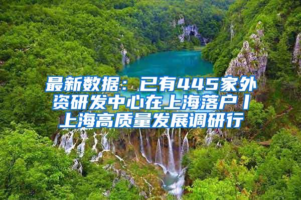 最新数据：已有445家外资研发中心在上海落户丨上海高质量发展调研行