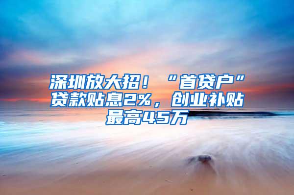 深圳放大招！“首贷户”贷款贴息2%，创业补贴最高45万