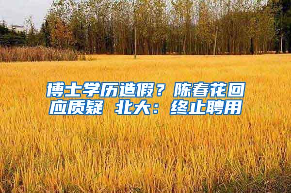 博士学历造假？陈春花回应质疑 北大：终止聘用