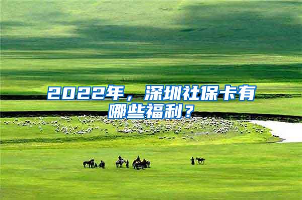 2022年，深圳社保卡有哪些福利？