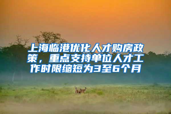 上海临港优化人才购房政策，重点支持单位人才工作时限缩短为3至6个月