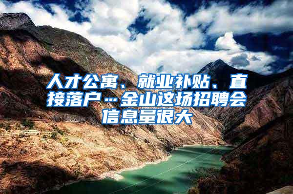 人才公寓、就业补贴、直接落户…金山这场招聘会信息量很大