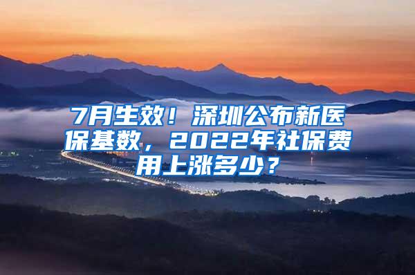 7月生效！深圳公布新医保基数，2022年社保费用上涨多少？