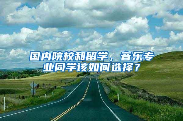 国内院校和留学，音乐专业同学该如何选择？