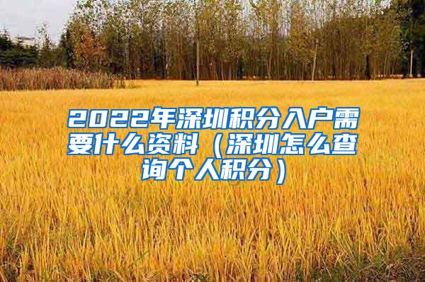 2022年深圳积分入户需要什么资料（深圳怎么查询个人积分）