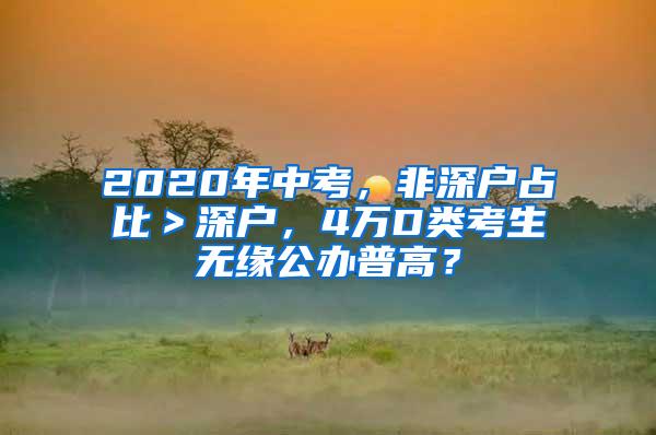 2020年中考，非深户占比＞深户，4万D类考生无缘公办普高？