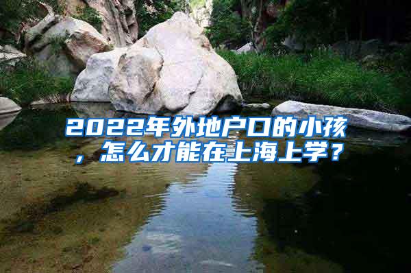 2022年外地户口的小孩，怎么才能在上海上学？