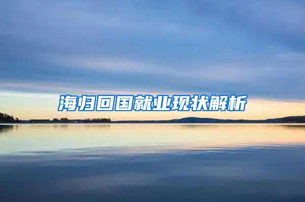 海归回国就业现状解析