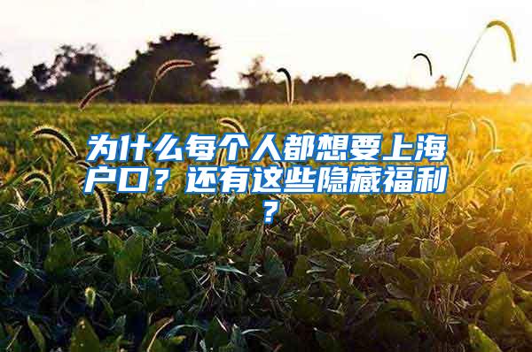 为什么每个人都想要上海户口？还有这些隐藏福利？