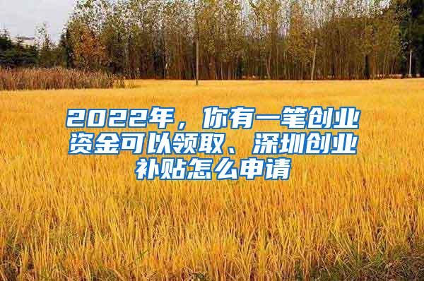 2022年，你有一笔创业资金可以领取、深圳创业补贴怎么申请