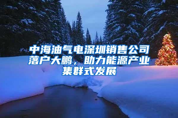 中海油气电深圳销售公司落户大鹏，助力能源产业集群式发展