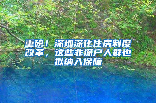 重磅！深圳深化住房制度改革，这些非深户人群也拟纳入保障