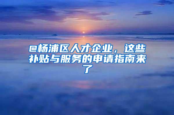 @杨浦区人才企业，这些补贴与服务的申请指南来了