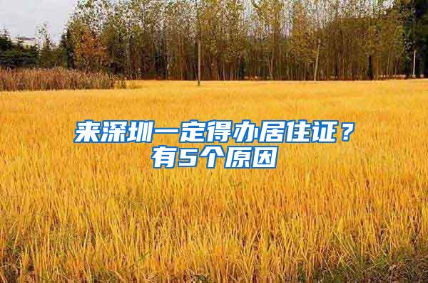 来深圳一定得办居住证？有5个原因